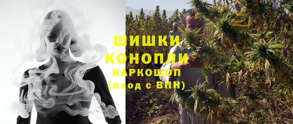 СК Горняк