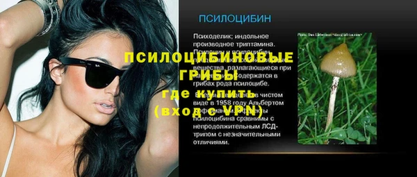 СК Горняк