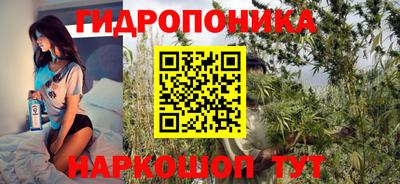 спайс Гагарин