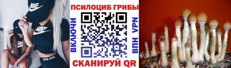 Псилоцибиновые грибы MAGIC MUSHROOMS Ипатово