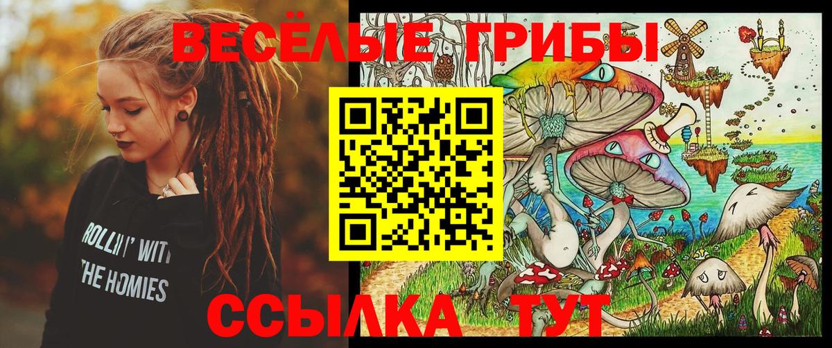Галлюциногенные грибы Cubensis  сколько стоит  Ипатово  Вход с VPN 
