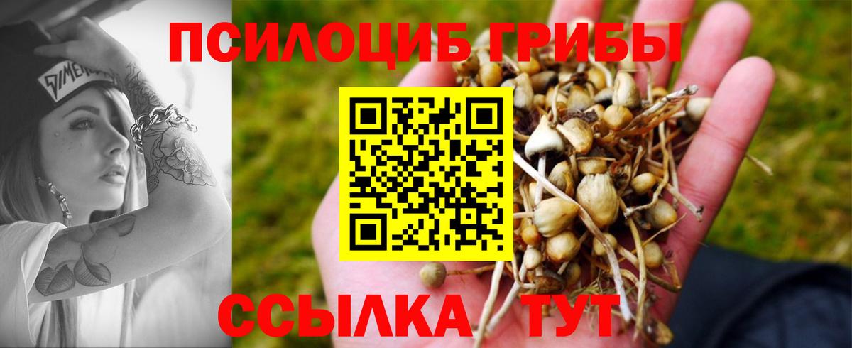 Галлюциногенные грибы Magic Shrooms Ипатово